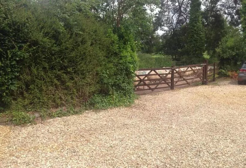 Bed and Breakfast Meadowview