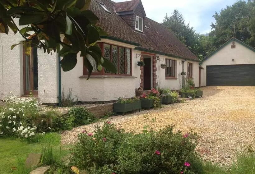 Bed and Breakfast Meadowview