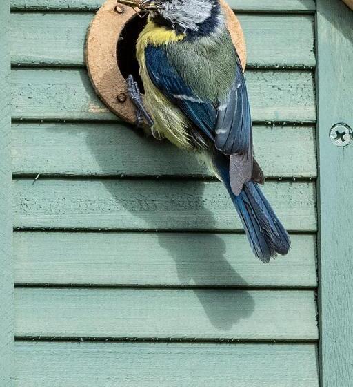 צימר Pelham Grove