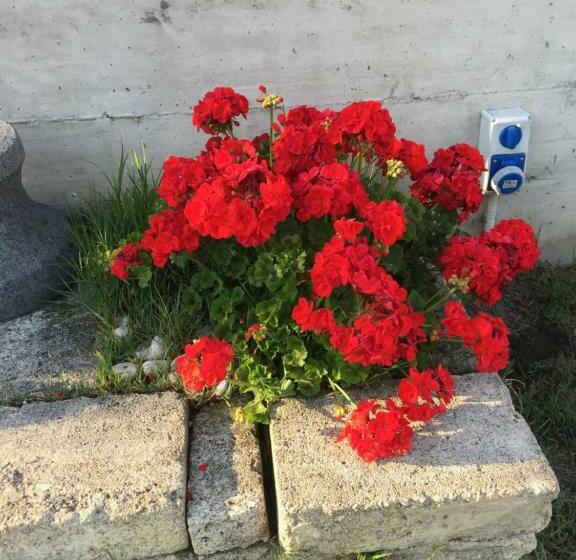 ペンション Camera Con Giardino E Piscina