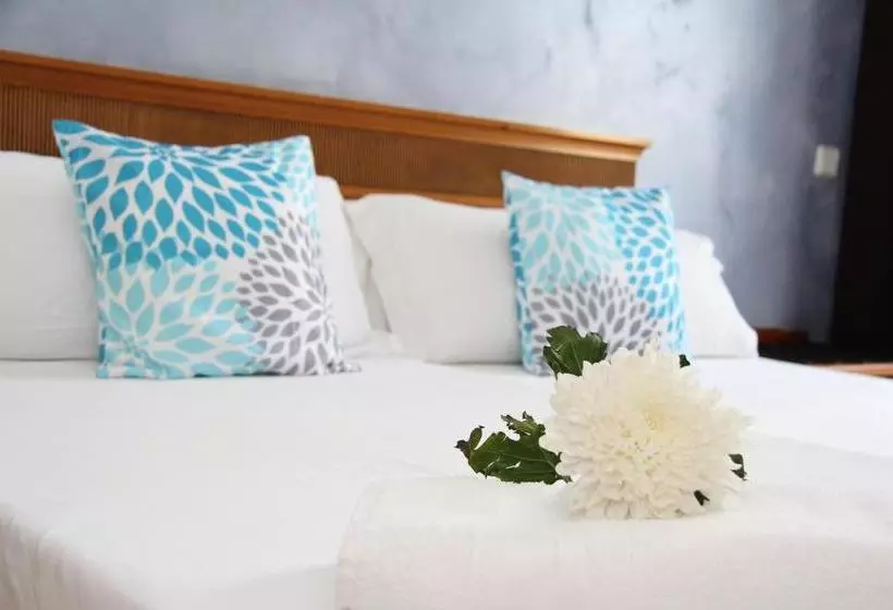 Gomila Palma Apartments