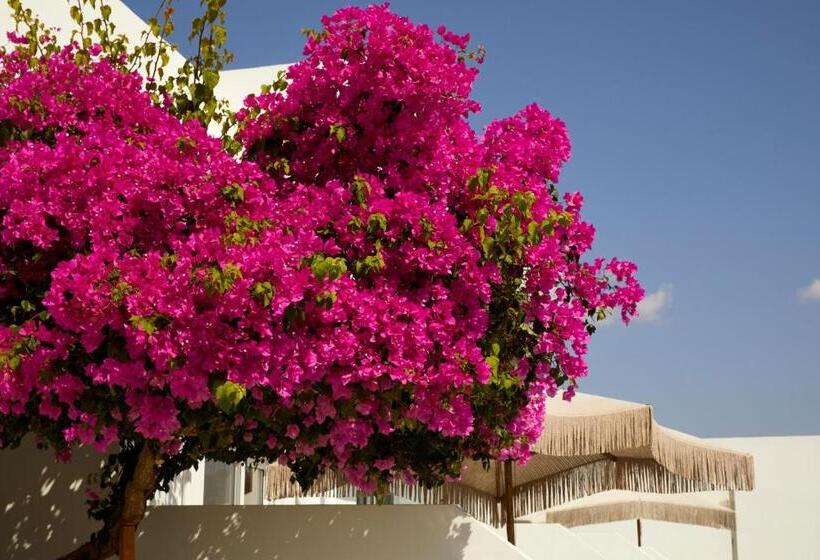 בית מלון כפרי Absolute Kiotari Resort