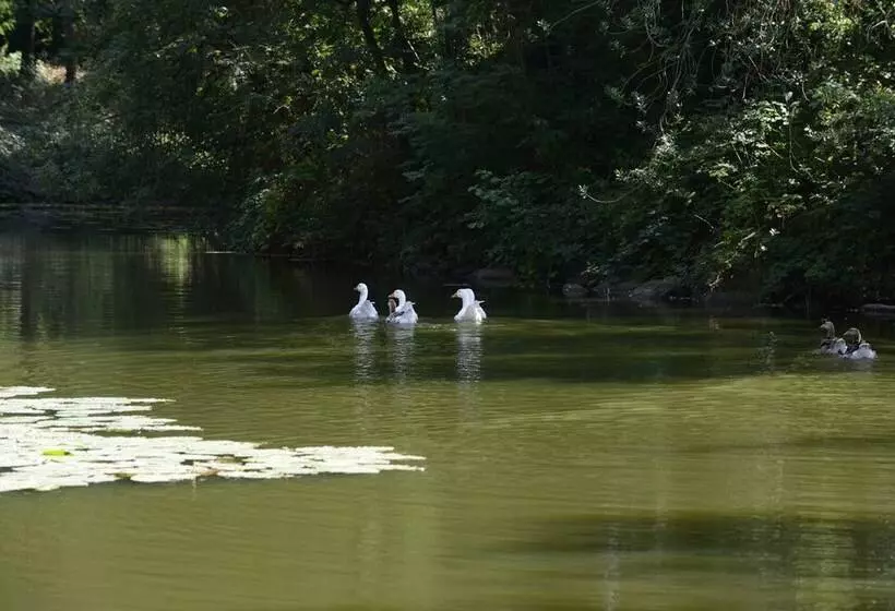 ホテル Chateau Du Boisniard