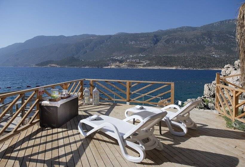 هتل Peninsula Gardens