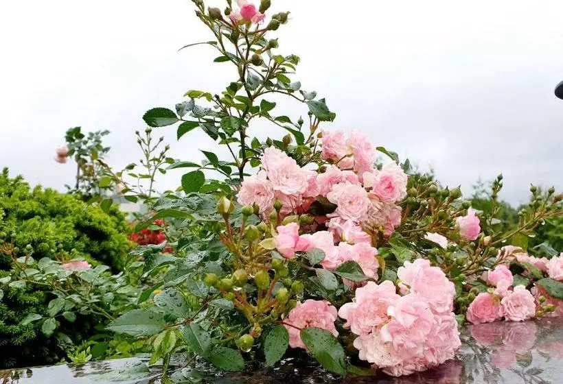 酒店 Yaroslavskoe Podvorye