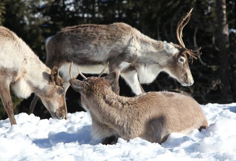 レジデンス Mamie Megève