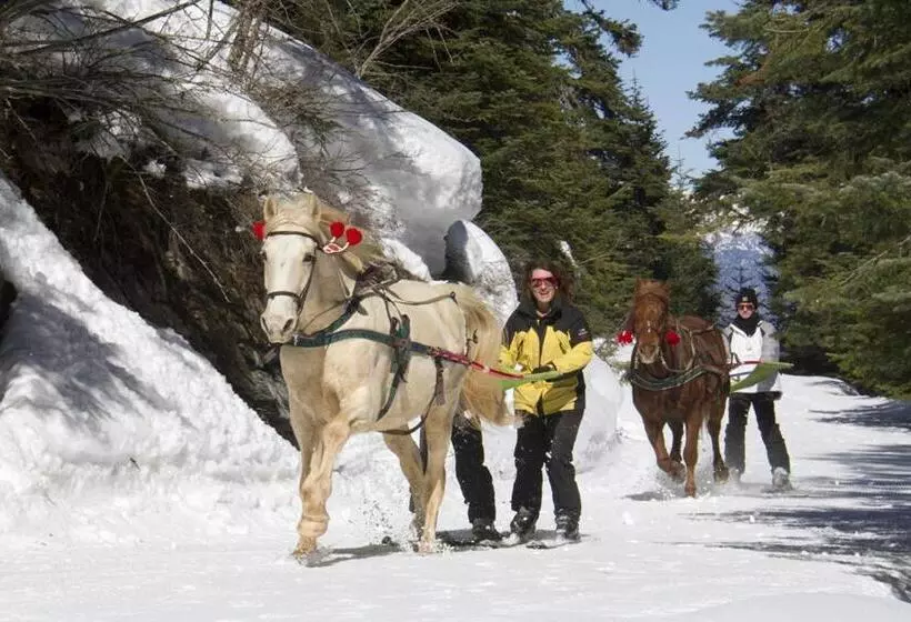 Les Blanches Provençales
