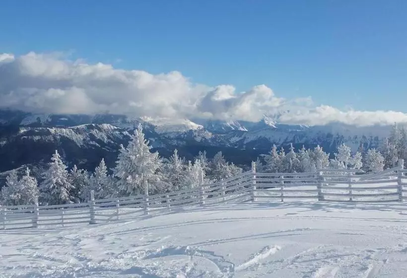 Les Blanches Provençales