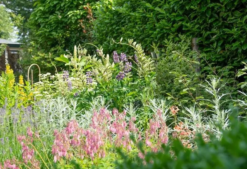 ベッドアンドブレックファースト De Anselier