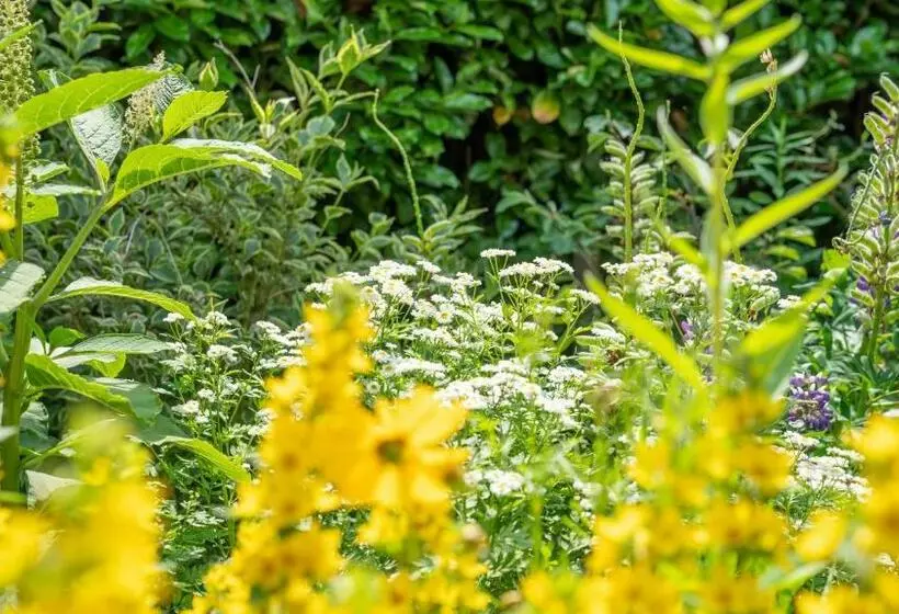 ベッドアンドブレックファースト De Anselier