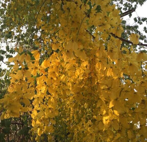 Bed and Breakfast Home By The Bridge