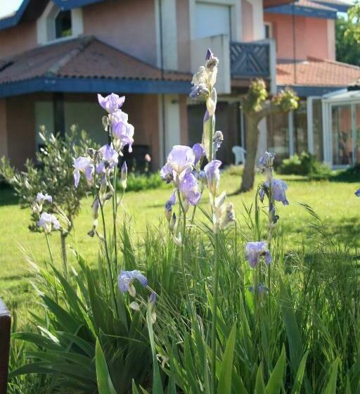 צימר Villa Helianthe