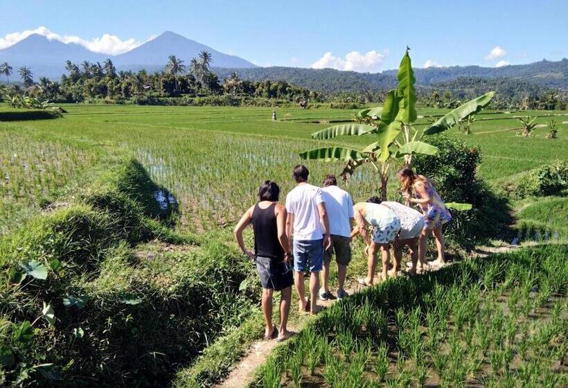 ペンション Munduk Panorama
