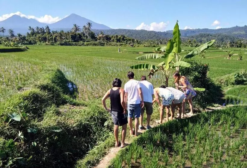 Majatalo Munduk Panorama