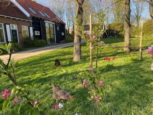 B&b Boerderij De Vaete   Duurzaam Genieten In De Zak Van Zuid Beveland
