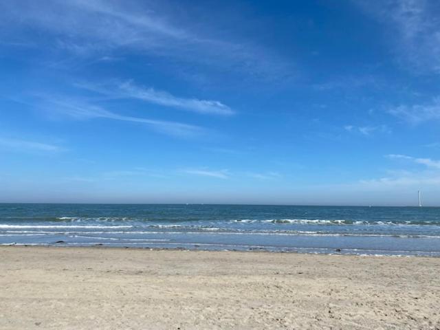 B&b Boerderij De Vaete   Duurzaam Genieten In De Zak Van Zuid Beveland