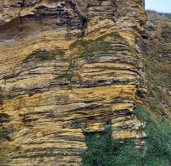 مبيت وإفطار La Chambre ô Z Amis