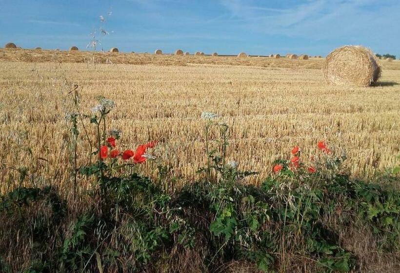 مبيت وإفطار La Chambre ô Z Amis