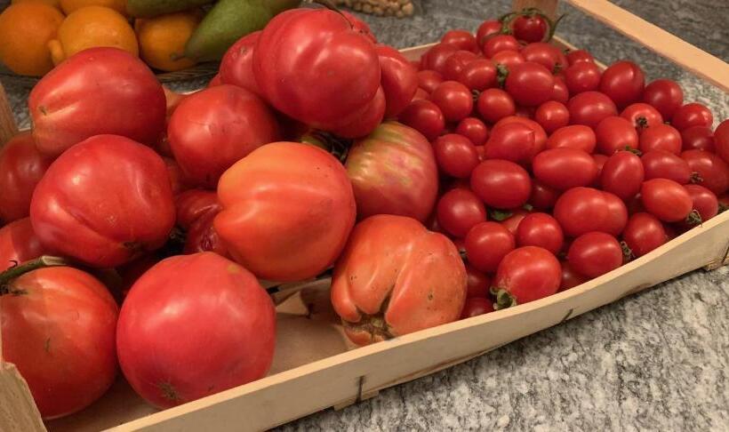 مبيت وإفطار La Luce Delle Colline