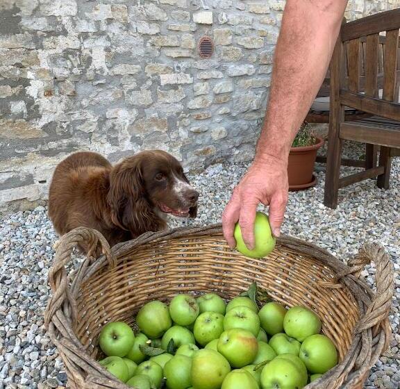 مبيت وإفطار La Luce Delle Colline