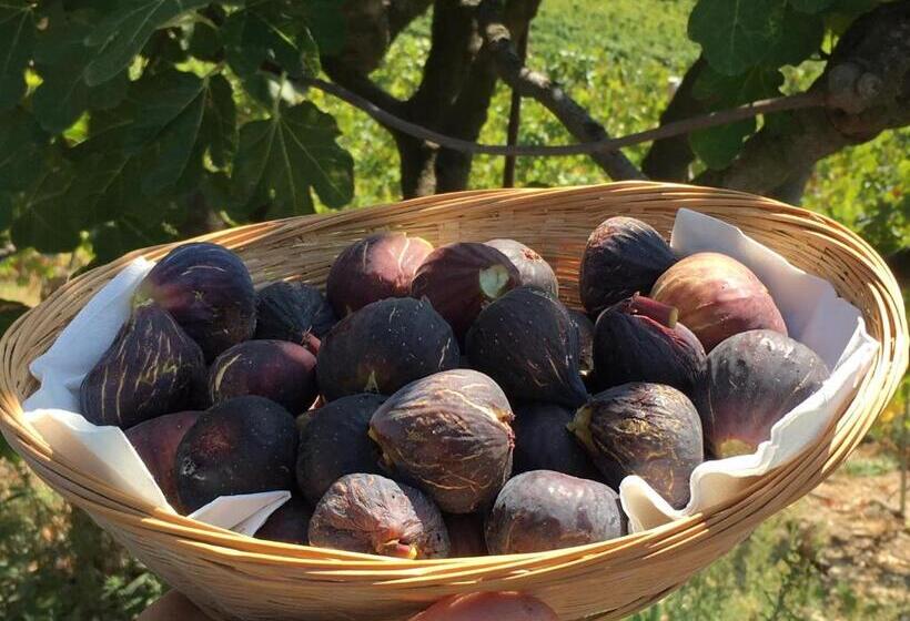 مبيت وإفطار La Luce Delle Colline