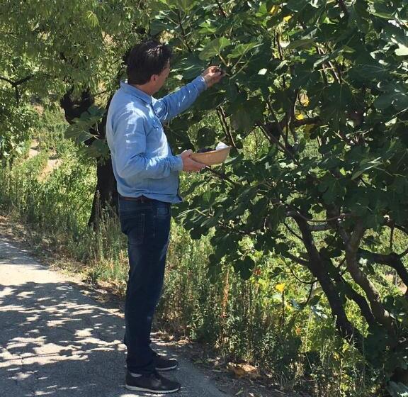 مبيت وإفطار La Luce Delle Colline