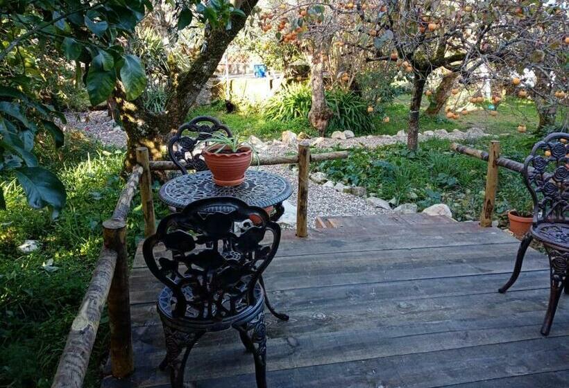 Bed and Breakfast Quinta Dos Church