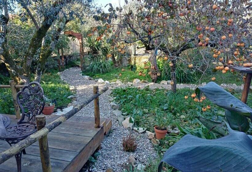 Bed and Breakfast Quinta Dos Church