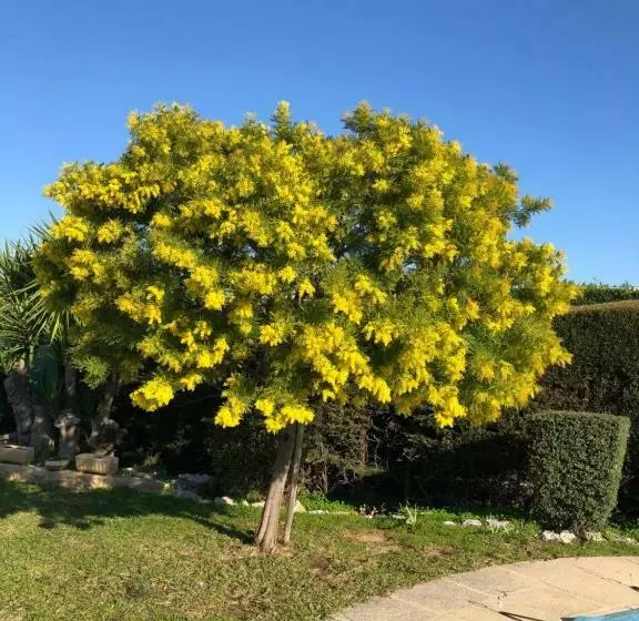 Aamiaismajoitus (B&B) Villa C3 Arthur Rimbaub Chambre D’hôte Piscine Proche Mer Plage 600m