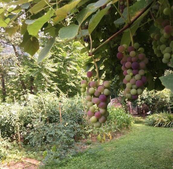 ベッドアンドブレックファースト Vista Castello