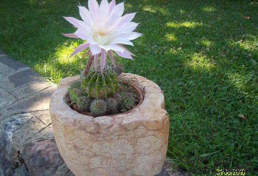 ベッドアンドブレックファースト Vista Castello