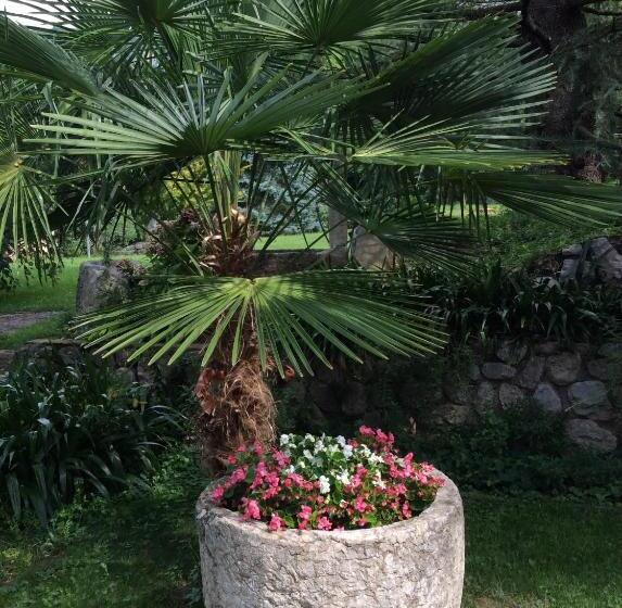 ベッドアンドブレックファースト Vista Castello