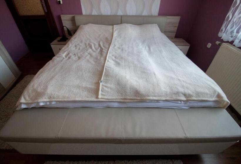 פנסיון Barátkozó Vendégház