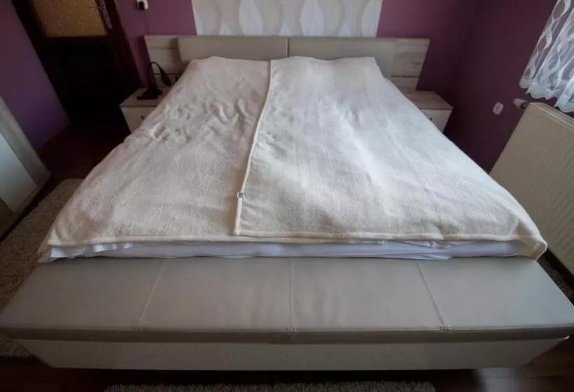 ペンション Barátkozó Vendégház