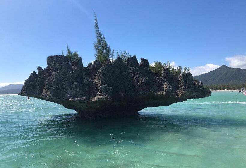 پانسیون Cozy House