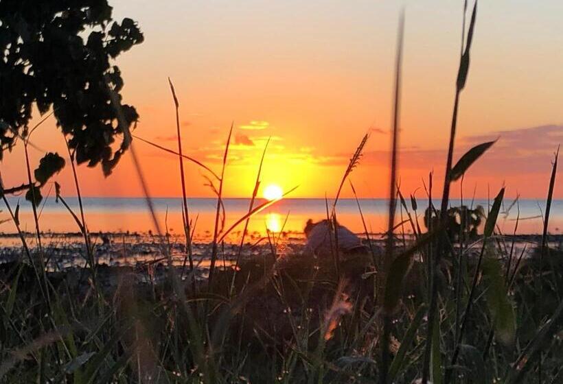 پانسیون Cozy House