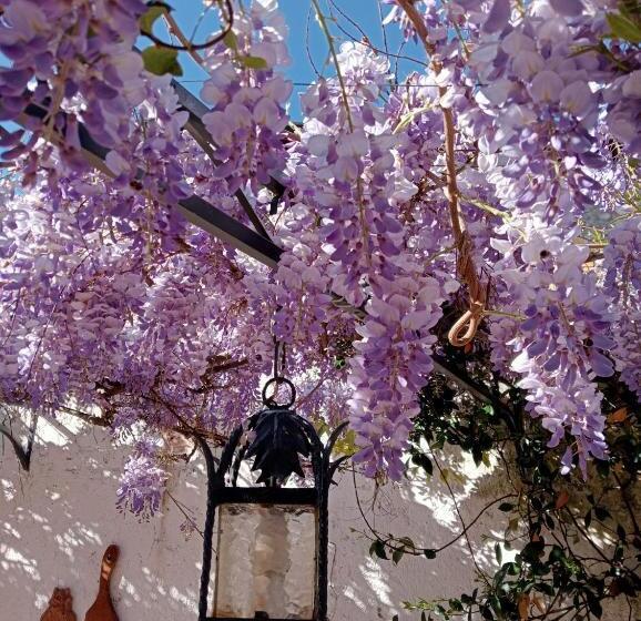 ペンション Residenza La Dimora Imperfetta