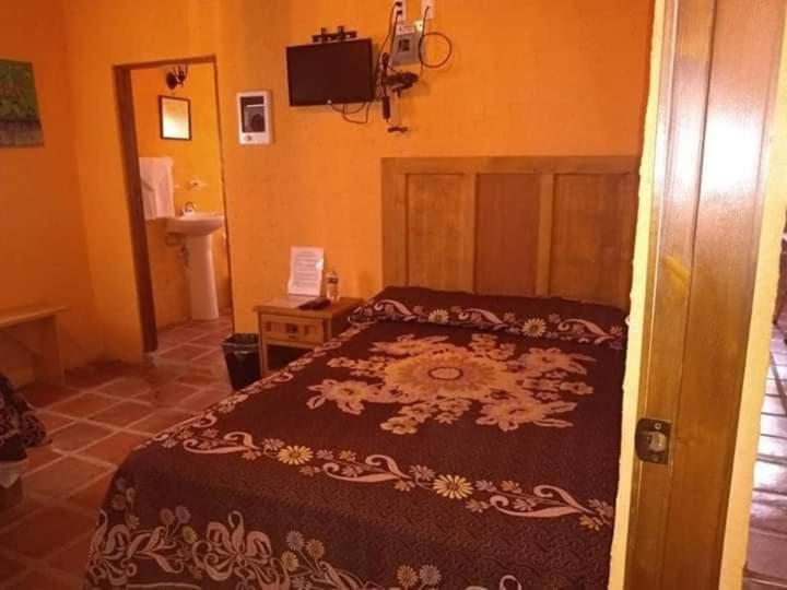 پانسیون San Pancho