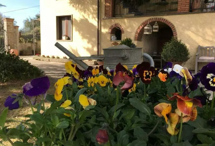 B&b La Casa Della Nonna
