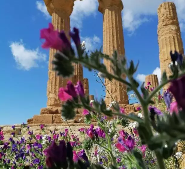 تختخواب و صبحانه Tesori Di Girgenti