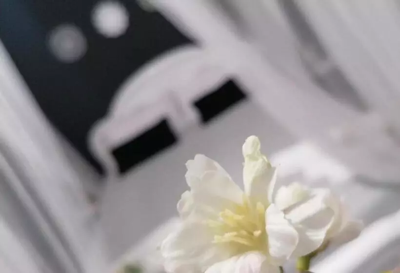 تختخواب و صبحانه Tesori Di Girgenti