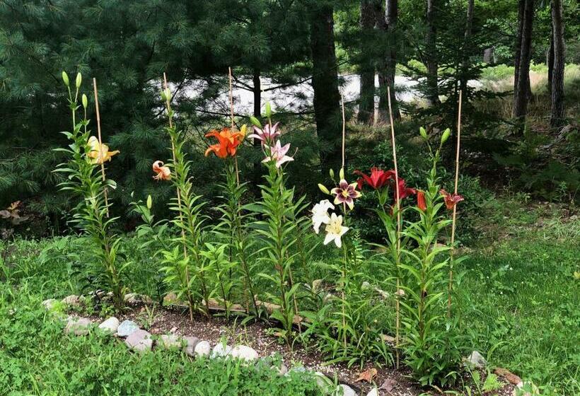 بنسيون Modern House Family Retreat