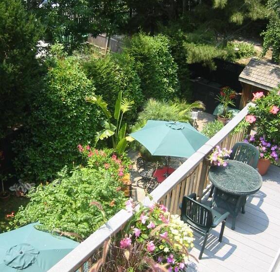 پانسیون Thomas Webster House