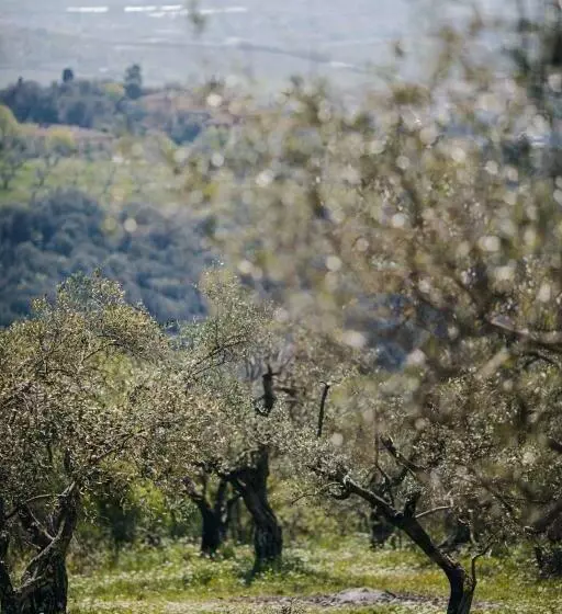 پانسیون Villa Desiderio Tuscany