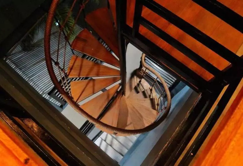 هاستل Michel Inn Coron