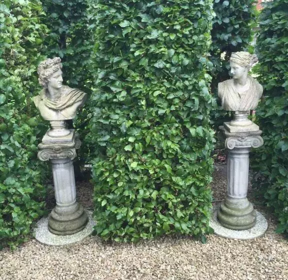 B&b T Pleintje