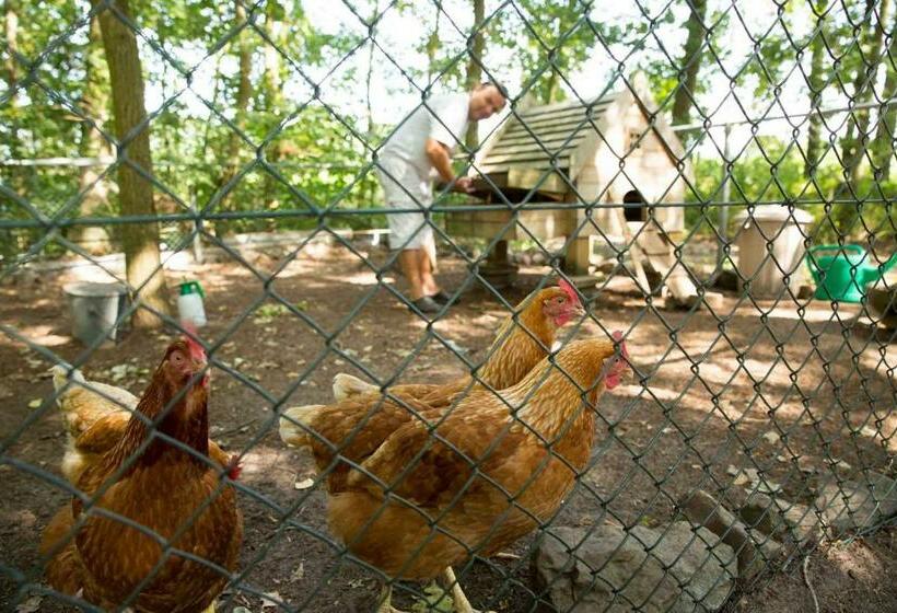 צימר Beej Potters