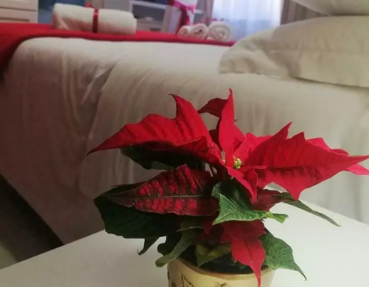 تختخواب و صبحانه L  Albero Di Giada