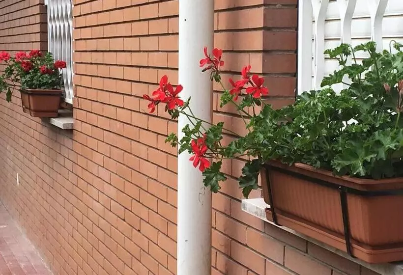 تختخواب و صبحانه L  Albero Di Giada