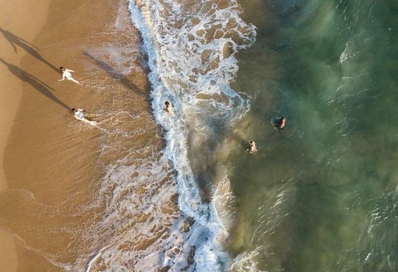 فندق Gugulesizwe Camp